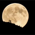 La Luna del Raccolto sorge in Valle Cervo - Foto di Paolo Rosazza Pela La Luna del Raccolto sorge in Valle Cervo - Foto di Paolo Rosazza Pela