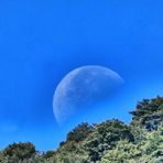Rosazza: il tramonto della Luna in pieno giorno Rosazza: il tramonto della Luna in pieno giorno