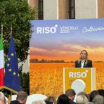Risò, a Vercelli dall’11 al 13 settembre il confronto internazionale sul futuro del riso europeo. Lollobrigida: necessario difendere cultura del riso Risò, a Vercelli dall’11 al 13 settembre il confronto internazionale sul futuro del riso europeo. Lollobrigida: necessario difendere cultura del riso
