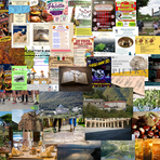 Tante cose da fare nel we del 9, 10 e 11 ottobre