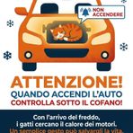 Con il freddo attenzione ai gatti nei motori: i consigli del comune di Candelo Con il freddo attenzione ai gatti nei motori: i consigli del comune di Candelo