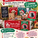 Bulli e Pupe con la Coda ODV domani in via Italia a Biella con calendari, regali solidali e tante informazioni per aiutare gli animali Bulli e Pupe con la Coda ODV domani in via Italia a Biella con calendari, regali solidali e tante informazioni per aiutare gli animali