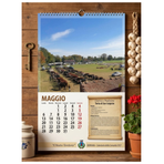 Borriana, al via il Calendario della Comunità: il paese si racconta attraverso foto, ricette e ricordi Borriana, al via il Calendario della Comunità: il paese si racconta attraverso foto, ricette e ricordi