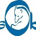 Orso Blu, cassa integrazione prorogata fino a dicembre