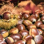 Profumi e sapori d’autunno a Valdilana con la Castagnata Benefica della Pro Loco di Trivero (foto di repertorio) Profumi e sapori d’autunno a Valdilana con la Castagnata Benefica della Pro Loco di Trivero (foto di repertorio)