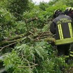 Maltempo, nuove segnalazioni di piante sulla strada: interventi in Valle Cervo ed Elvo (foto di repertorio)