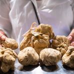 Terra Madre, lavoro e tartufo al centro degli incontri del 26 settembre Terra Madre, lavoro e tartufo al centro degli incontri del 26 settembre