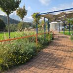 Il “Giardino Ritrovato” della Residenza Ines e Piera Capellaro di Mongrando in tv Il “Giardino Ritrovato” della Residenza Ines e Piera Capellaro di Mongrando in tv