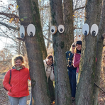 casapinta bosco casapinta bosco