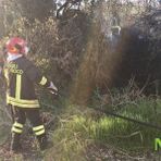 Sterpaglie a fuoco: dopo Ronco, Vigili del Fuoco al lavoro con AIB a Cavaglià, foto archivio Sterpaglie a fuoco: dopo Ronco, Vigili del Fuoco al lavoro con AIB a Cavaglià, foto archivio