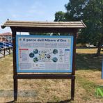 candelo albero candelo albero