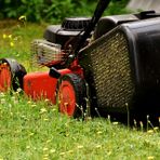 Verrone, bando “Adotta un’aiuola”, il Comune ci riprova