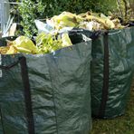 Portula, abbattimento della vegetazione lungo la provinciale: previsti sensi unici alternati e brevi stop al traffico Portula, abbattimento della vegetazione lungo la provinciale: previsti sensi unici alternati e brevi stop al traffico