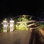 Maltempo nel Biellese, a Strona in frazione Calvino senso unico alternato
