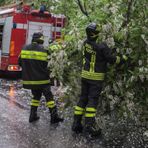 Piante sulla strada a Miagliano, intervento dei Vigili del Fuoco in piena notte (foto di repertorio)