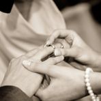 festa viverone festa viverone