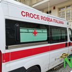 Animale selvatico sulla strada, il camper si ribalta per evitarlo tra Valdilana e Pray (foto di repertorio)