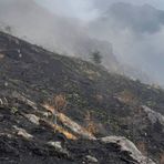 Rifugio Monte Barone, il primo sopralluogo dopo l’incendio - Foto pagina Facebook RIfugio Monte Barone Rifugio Monte Barone, il primo sopralluogo dopo l’incendio - Foto pagina Facebook RIfugio Monte Barone