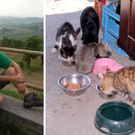 Benessere animale nel Biellese, quattro proposte contro randagismo e abbandono Benessere animale nel Biellese, quattro proposte contro randagismo e abbandono
