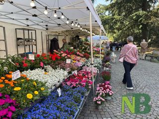 Biella, Mercato internazionale "Regioni d'Europa": un viaggio tra sapori, profumi e tradizioni - Foto di Davide Finatti per newsbiella.it Biella, Mercato internazionale "Regioni d'Europa": un viaggio tra sapori, profumi e tradizioni - Foto di Davide Finatti per newsbiella.it