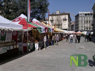 Biella, Mercato internazionale "Regioni d'Europa": un viaggio tra sapori, profumi e tradizioni - Foto di Davide Finatti per newsbiella.it Biella, Mercato internazionale "Regioni d'Europa": un viaggio tra sapori, profumi e tradizioni - Foto di Davide Finatti per newsbiella.it