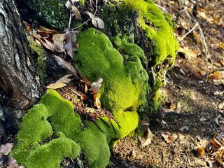 Percorsi in ebike anche sotto la pioggia: nel cuore della Serra morenica