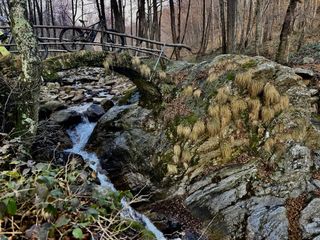 Percorsi in ebike anche sotto la pioggia: nel cuore della Serra morenica
