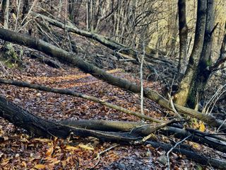 Percorsi in ebike anche sotto la pioggia: nel cuore della Serra morenica