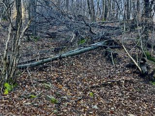 Percorsi in ebike anche sotto la pioggia: nel cuore della Serra morenica