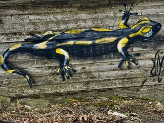 Percorsi in ebike anche sotto la pioggia: nel cuore della Serra morenica