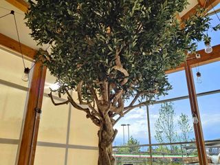 Biella, apre lunedì 5 maggio il nuovo Bistrot di GardenVille.