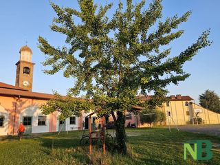 Grande successo per il Trofeo Città di Candelo: 150 corridori al via - Foto di Angela Lobefaro per newsbiella.it