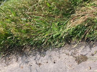 Vandali in azione: abbattuti una decina di cartelli stradali tra Mongrando e Biella.