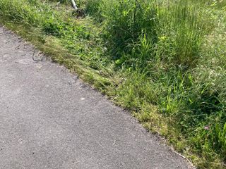 Vandali in azione: abbattuti una decina di cartelli stradali tra Mongrando e Biella.