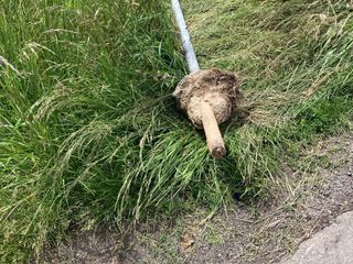 Vandali in azione: abbattuti una decina di cartelli stradali tra Mongrando e Biella.