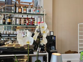 Biella, inaugurato il nuovo Bistrot di Gardenville: gusto, relax e vista mozzafiato