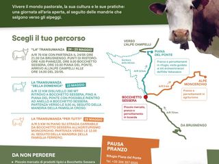 Torna nel Biellese "Transumando 2025": domenica 25 maggio la 25a edizione