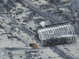 foto Angela Lobefaro per newsbiella.it