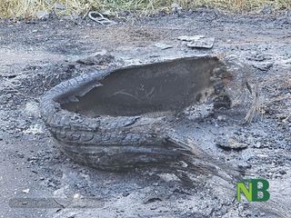 foto Angela Lobefaro per newsbiella.it