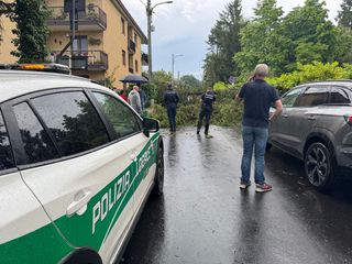 Maltempo a Biella, strada interrotta tra Barazzetto e Vandorno: cadono due alberi e tranciano i cavi elettrici Maltempo a Biella, strada interrotta tra Barazzetto e Vandorno: cadono due alberi e tranciano i cavi elettrici