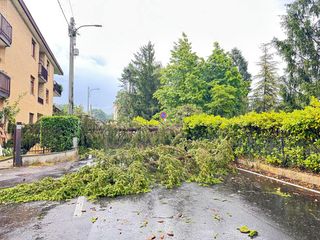 Maltempo a Biella, strada interrotta tra Barazzetto e Vandorno: cadono due alberi e tranciano i cavi elettrici Maltempo a Biella, strada interrotta tra Barazzetto e Vandorno: cadono due alberi e tranciano i cavi elettrici