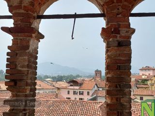 foto e video Lauretta Gronda