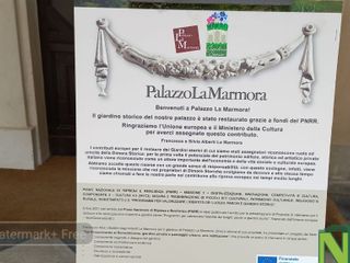 foto e video Lauretta Gronda