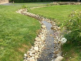 foto e video Lauretta Gronda