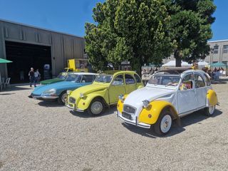 Fondazione Marazzato, "Ruote Veloci 2025": record di pubblico e divertimento senza limiti Fondazione Marazzato, "Ruote Veloci 2025": record di pubblico e divertimento senza limiti