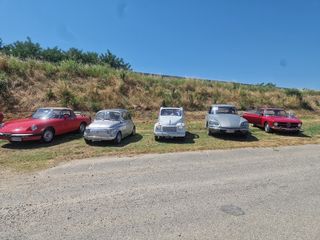 Fondazione Marazzato, "Ruote Veloci 2025": record di pubblico e divertimento senza limiti Fondazione Marazzato, "Ruote Veloci 2025": record di pubblico e divertimento senza limiti