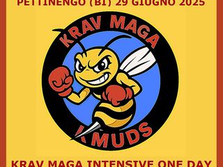 Reagire, difendersi, fuggire: il vero Krav Maga arriva a Pettinengo Reagire, difendersi, fuggire: il vero Krav Maga arriva a Pettinengo