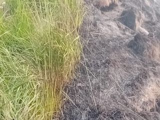 Alpe Noveis, AIB e Vigili del Fuoco ancora impegnati nello spegnimento Alpe Noveis, AIB e Vigili del Fuoco ancora impegnati nello spegnimento