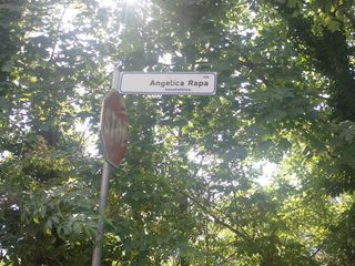 Andorno, rifiuti abbandonati accanto alla campana del vetro Andorno, rifiuti abbandonati accanto alla campana del vetro