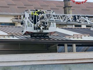 Sagliano: cane bloccato su una tettoia recuperato dai Vigili del Fuoco